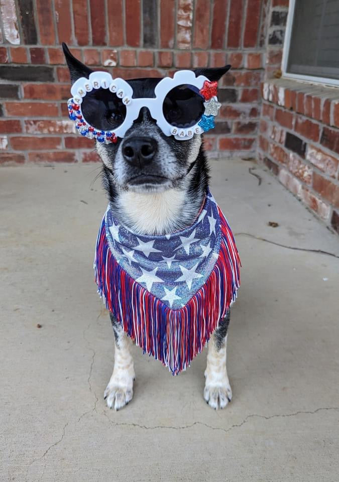 America Fringe | By The Yard | Ready To Ship