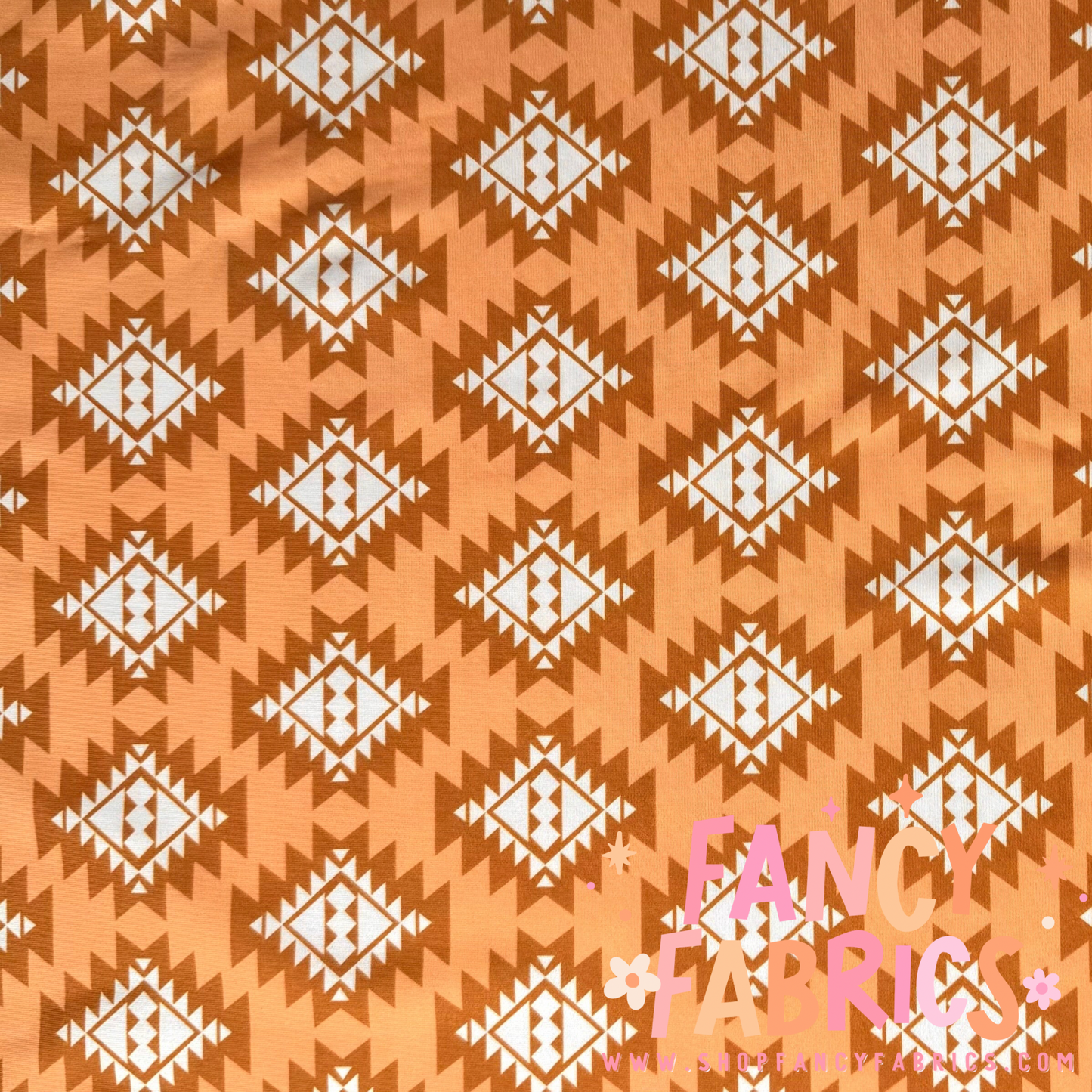 Western Aztec | Swim | 4x4 Scaling | Ready To Ship