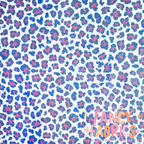 RWB Leopard | 4x4 Scaling | Printed Holographic | Ready To Ship