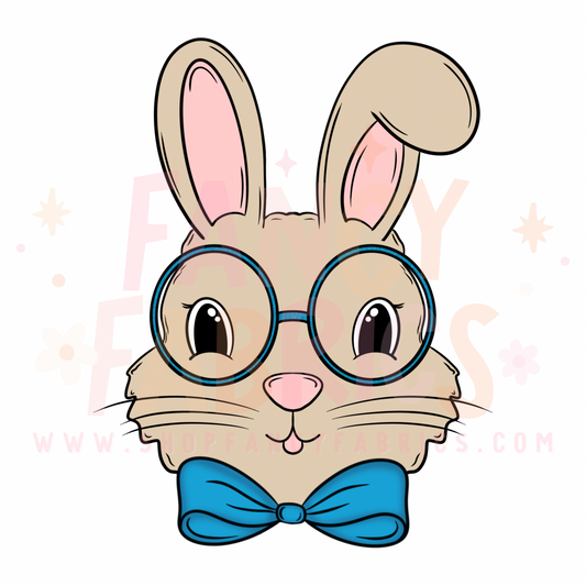 Boy Bunny | Toddler Size | DTF Transfer