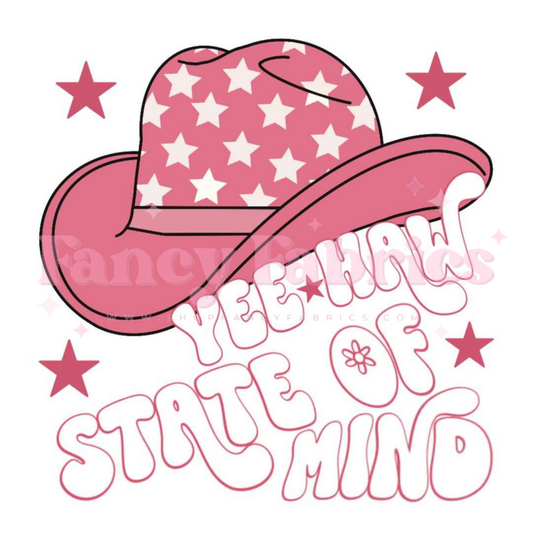 Yee-haw State Of Mind | Adult Size | DTF Transfer | Ready To Ship