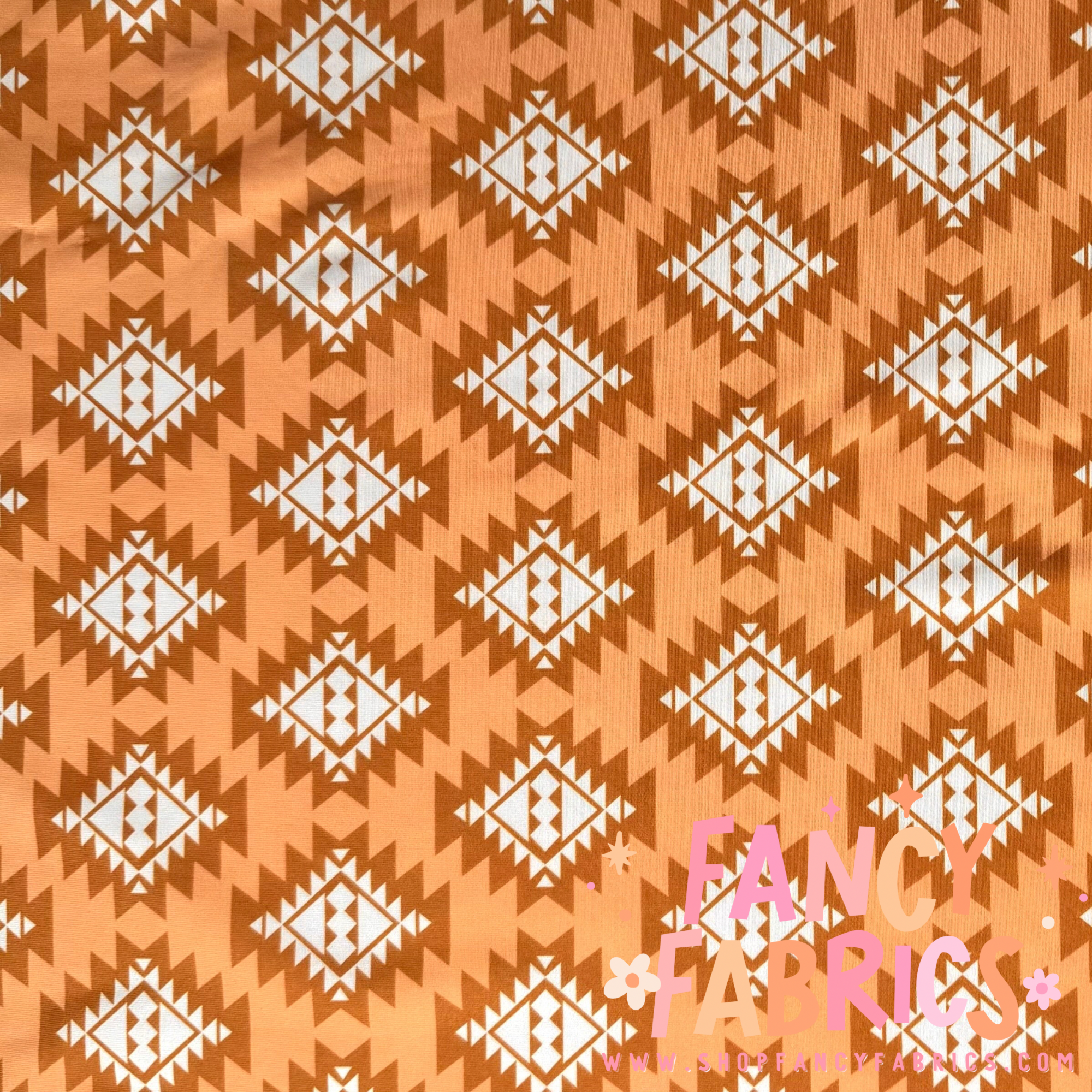 Western Aztec | Swim | 4x4 Scaling | Ready To Ship