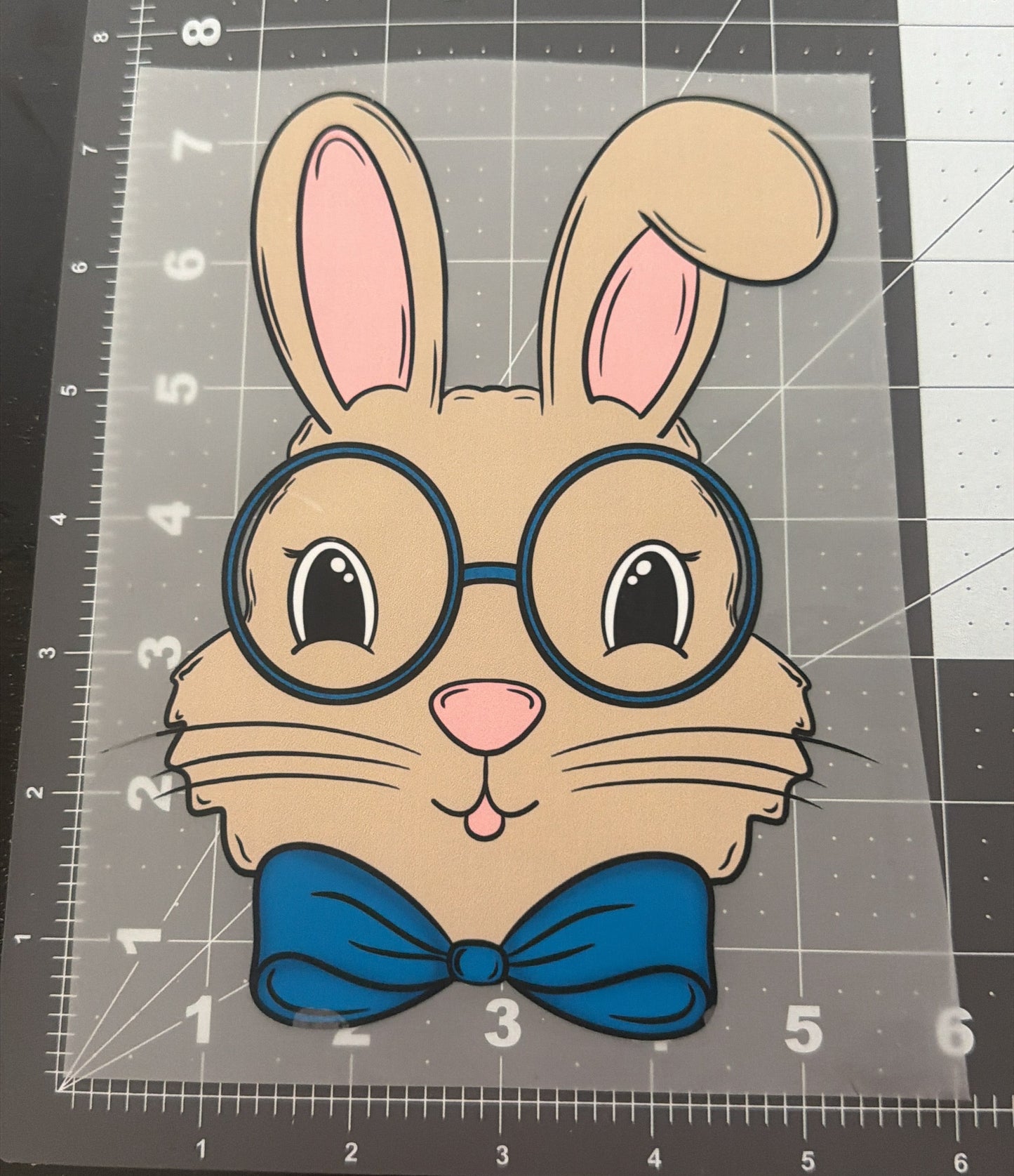 Boy Bunny | Child Size | DTF Transfer
