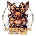 Favorite Color Is Cheetah | Child Size | DTF Transfer