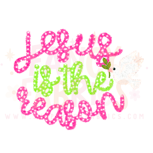 Jesus Is The Reason | Child Size | DTF Transfer