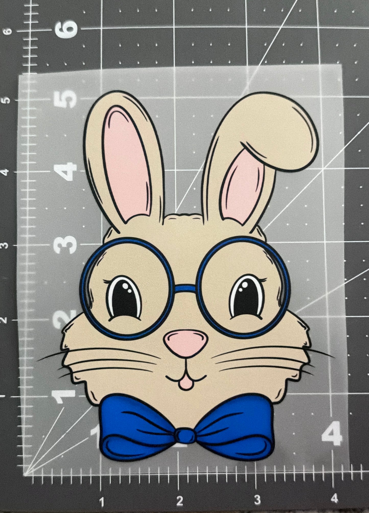 Boy Bunny | Toddler Size | DTF Transfer