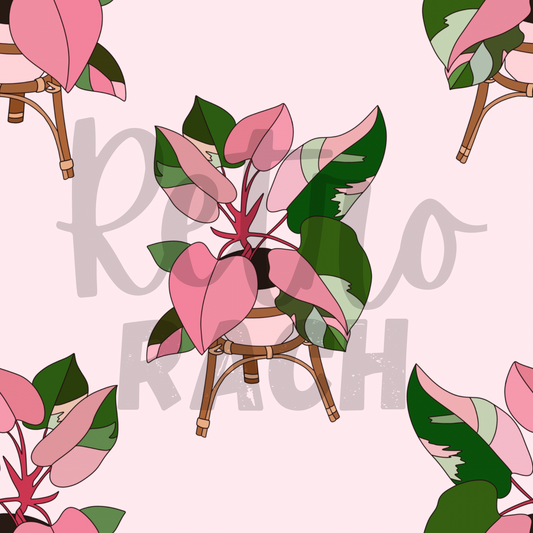 Pink Princess Plant | PREORDER | By The Yard