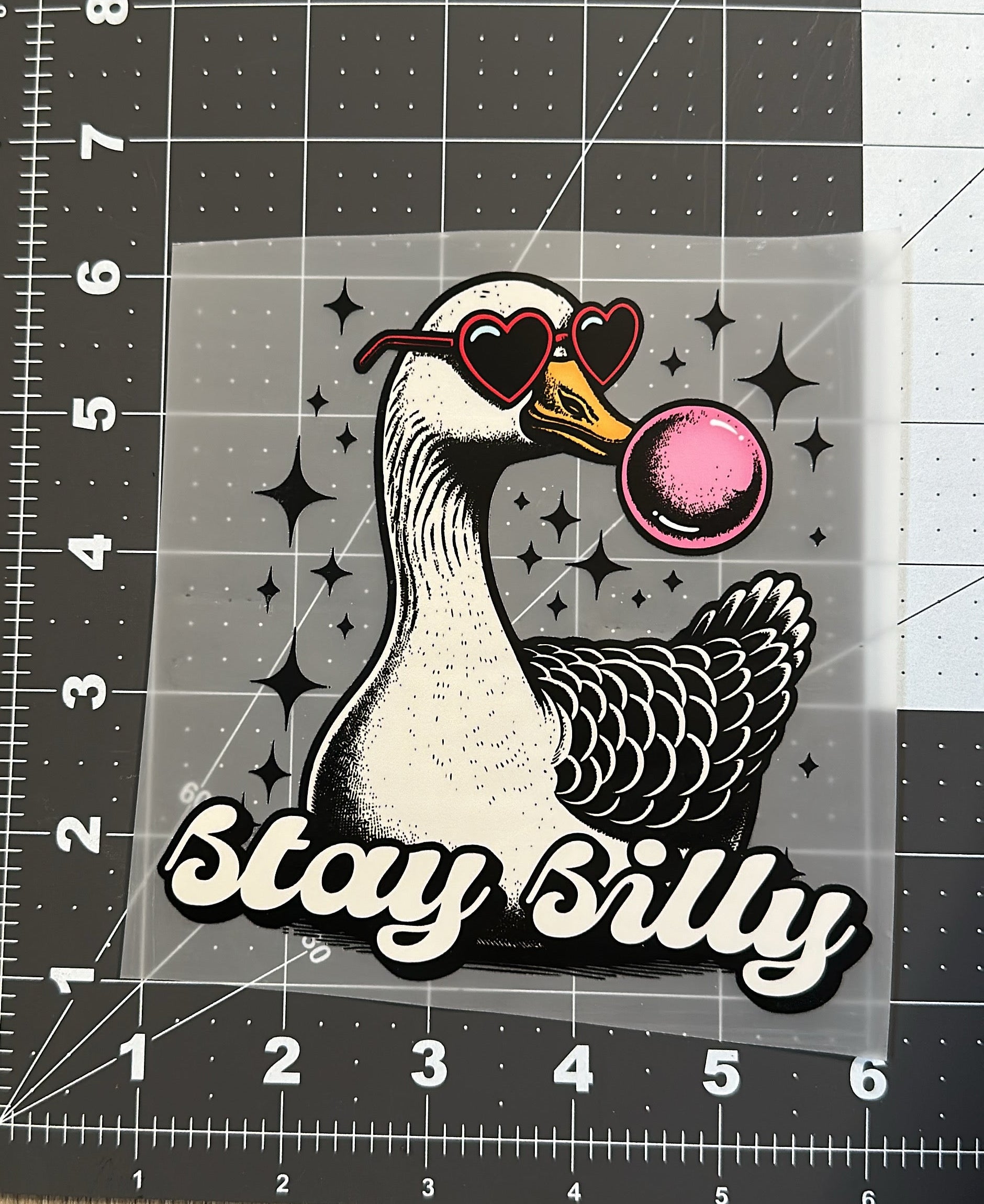 silly goose dtf transfer toddler size