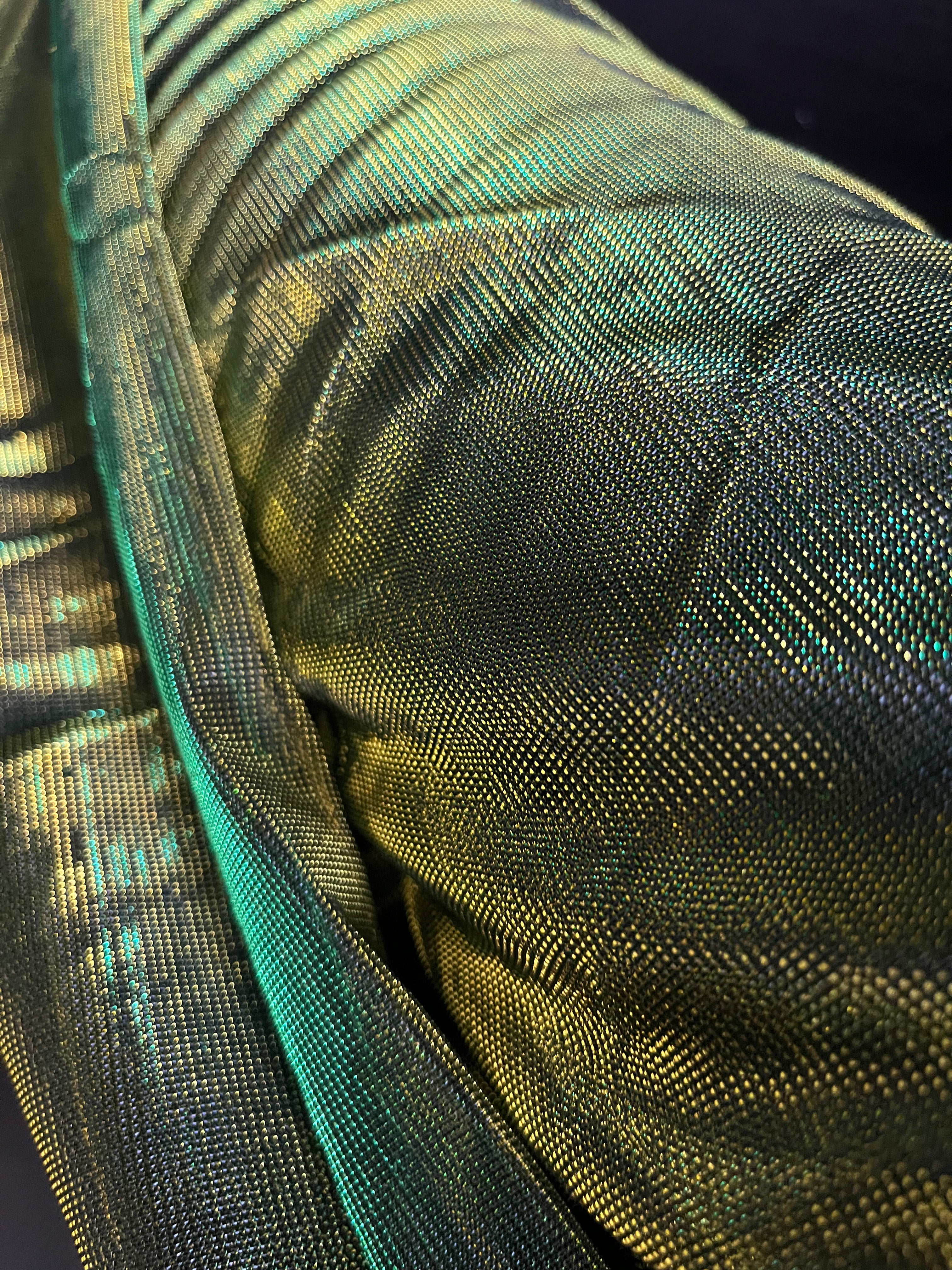 Green + Gold | Color Changing Mesh | Ready To Ship